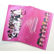 Girls' Generation 1st Asia Tour Concert Goods: 3D File