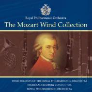 ⡼ĥȡ1756-1791/Wind Concertos Cleobury / Rpo