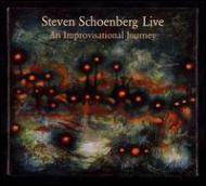 Steven Schoenberg/Live： An Improvisational Journey