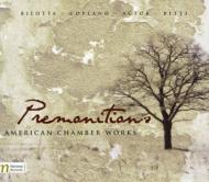 Premonitions-american Chamber Works: Boston Sq Stoltzman(Cl)Etc