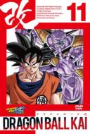 Dragon Ball Kai 11