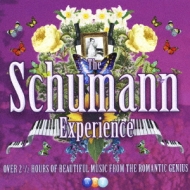 The Schumann Experience