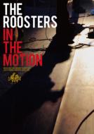 THE ROOSTERS/In The Motion