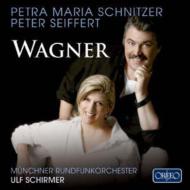 ワーグナー（1813-1883）/Arias Scenes： Schnitzer(S) Seiffert(T) Schirmer / Munich Radio O