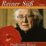 Dunkelrote Rosen