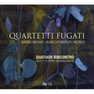 弦楽四重奏曲集/Quartetti Fugati-haydn Mozart Albrechtsberger Etc： Quatuor Rincontro