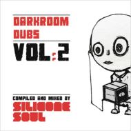 Darkroom Dubs Vol.2