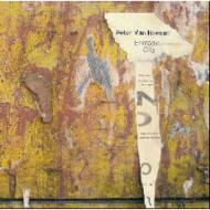 Peter Van Hoesen/Entropic City