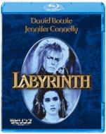Labyrinth BLU-17209