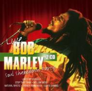 Bob Marley/Soul Shakedown Party