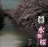 Minazakura C-Type (+DVD)Limited Edition