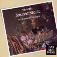Sacred Music : Turner / Pro Cantione Antiqua, London Cornett & Sackbut Ensemble