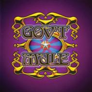 Gov't Mule/Live With A Little Help From My Friends