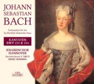 Cantanta, 213, 214, : Hennig / L'arco Baroque O Knabenchor Hannover