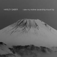 Gaber Harley/I Saw My Mother Ascending Mount Fuji： Cumminsky(Vn) Gilbert(A-fl)