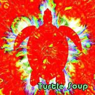 Turtle Soup
