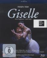 バレエ＆ダンス/Giselle(Adam)： Tsygankova J. varga Dutch National Ballet