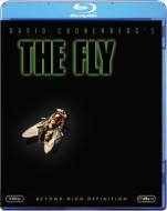 The Fly