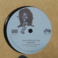 Town Without Pity / Youth In The Garden