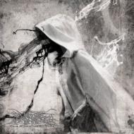 Psalm Of The Grand Destroyer