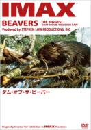 Beavers