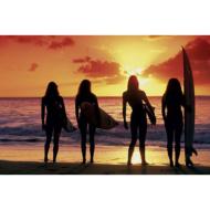 �T�[�t�x�C�u