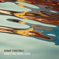Sonar Ensemble/While You Were Gone