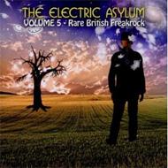 Various/The Electric Asylum Vol.5 - Rare British Freakrock
