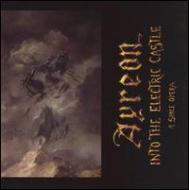 Ayreon/Into The Electric Castle (Sped)