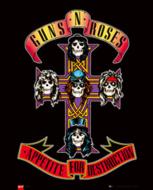 Guns N'Roses Mini Poster (M-355)