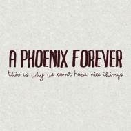 Phoenix Forever/This Is Why We Can't Have Nice Things