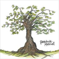 `everything Is Working Out Fine In Some Town`+`no Confort`single