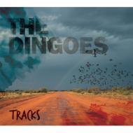 Dingoes/Tracks