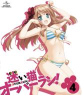 Mayoi Neko Overrun! 4