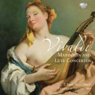 ǥ1678-1741/Concertos For Mandolin Lute Guglielmo / L'arte Dell'arco