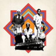 Various/African Music Today