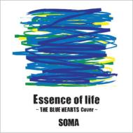 Essence of life `THE BLUE HEARTS Cover`