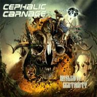 Cephalic Carnage/Misled By Certainty