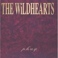 THE WiLDHEARTS/P. h.u. q.
