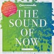 Various/The Sound Of Now 2010 Vol 2
