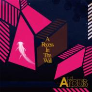 Arbus/Rucess In The Wall