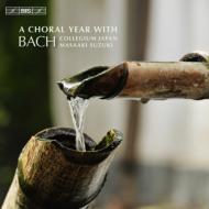 バッハ（1685-1750）/A Choral Year-highlights From Cantatas： Suzuki 鈴木雅明 / Bach Collegium Japan