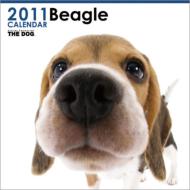 Beagle / 2011 Calendar