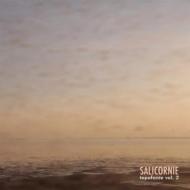 Enrico Coniglio/Salicornie Topofonie 2