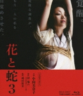 �ԂƎ�3: �ʏ��