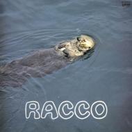 Racco