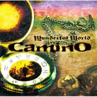 Camino/Wonderful World
