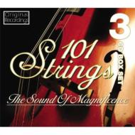 101ȥ󥰥/Sound Of Magnificence