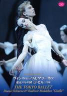 バレエ＆ダンス/Giselle(Adam)： Vishneva Malakhov 東京バレエ団