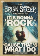 It's Gonna Rock...'cause That's What I Do : Brian Setzer